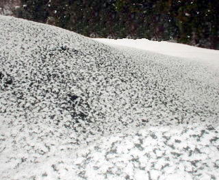 雪どけ炭　融雪用土壌改良材