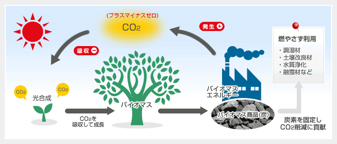 カーボン ニュートラル と は